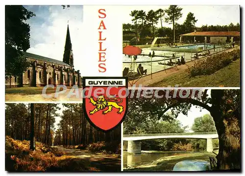 Cartes postales moderne Salles L'Eglise La Piscine La Foret Le Port