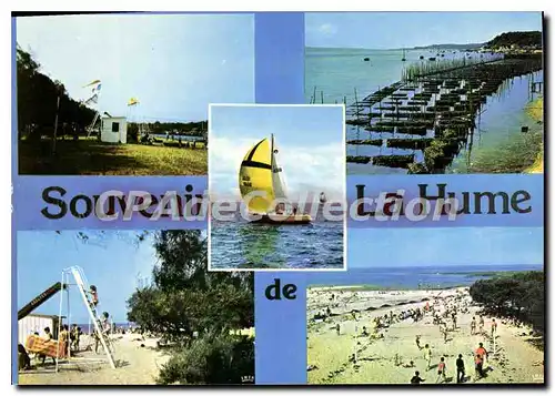 Cartes postales moderne Cote Aquitaine Bassin d'Arcachon La hume