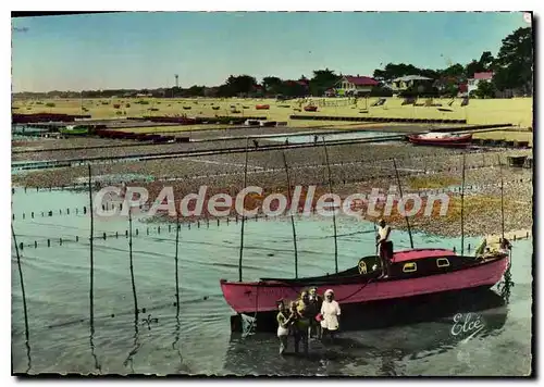 Cartes postales moderne Cap Ferret Belisaire Les Parcs aux Huitres Au fond Le Phare