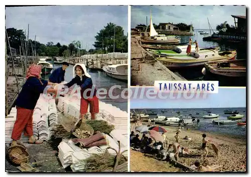 Cartes postales moderne Bassin D'Arcachon Scene Ostr��cole a Andeinos Le Port de Taussat La Plage d'Ares