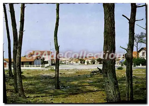 Cartes postales moderne Carcans Plage L'Avenue