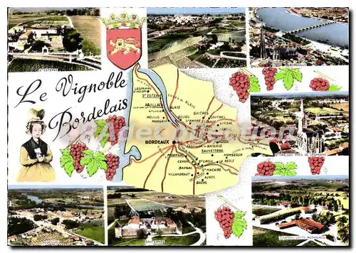 Moderne Karte Le Vignoble Bordelais