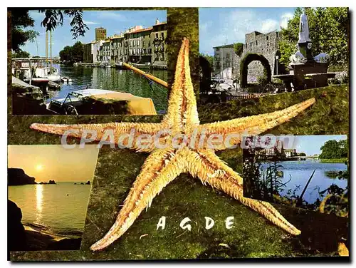 Cartes postales moderne Agde Les Quais De La Marine Et La Cathedrale St Etienne