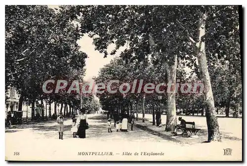 Ansichtskarte AK Montpellier Allee De I'Esplanade