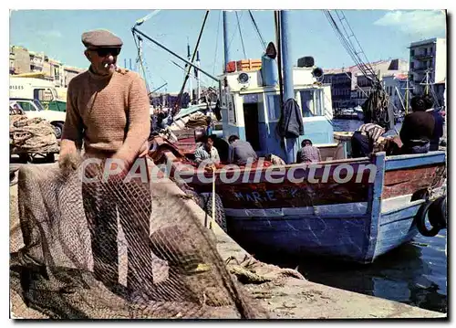 Cartes postales moderne Sete Les Quais De La Marine Et Ses Activites