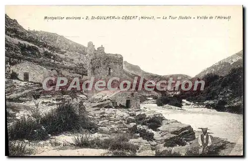 Cartes postales St Guilhem Le Desert La Tour Feodale