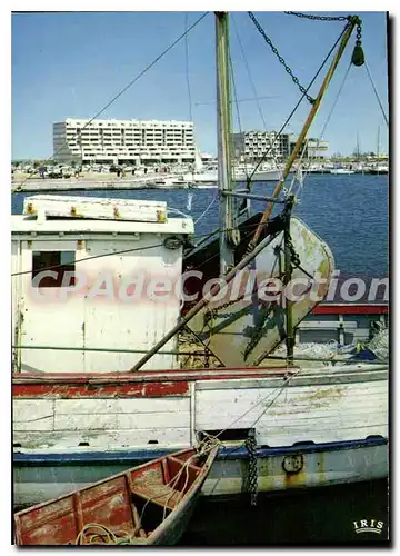 Cartes postales moderne Carnon Sur La Floride Francaise