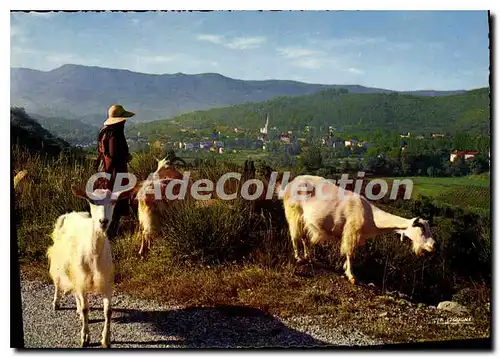 Cartes postales moderne Lamalou Les Bains Paysage