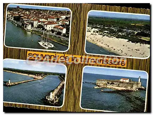 Cartes postales moderne Souvenir De La Tamarissiere