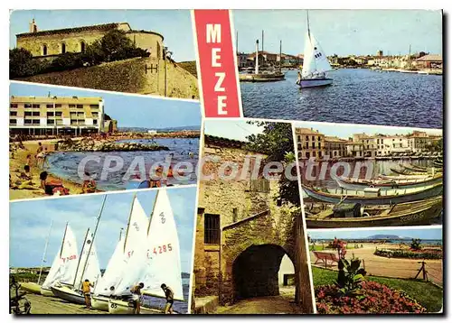 Cartes postales moderne Meze Sur le Bassin De Thau