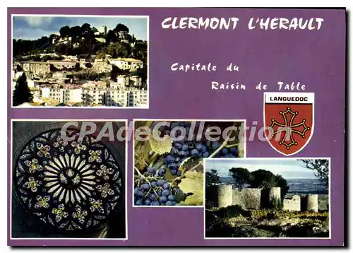 Cartes postales moderne Clermont L'Herault Vue Generale La Rosace