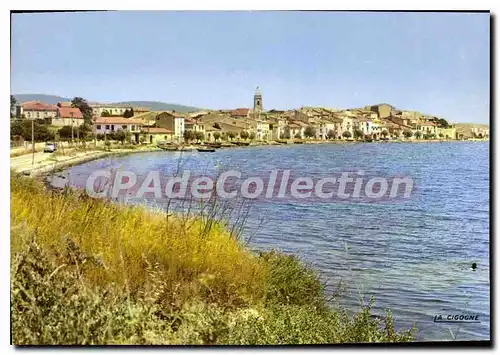 Cartes postales moderne Bouzigues Vue Generale