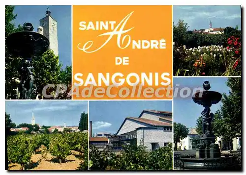 Cartes postales moderne Saint Andre De Sangonis