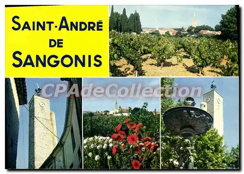 Cartes postales moderne Saint Andre De Sangonis