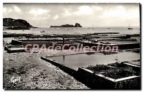 Cartes postales Cancale Les Parcs aux hu�tres Et Le Rocher De Cancale