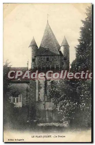 Cartes postales Le Plaix Joliet Le Donjon
