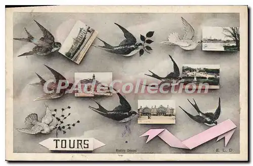 Cartes postales Tours oiseaux