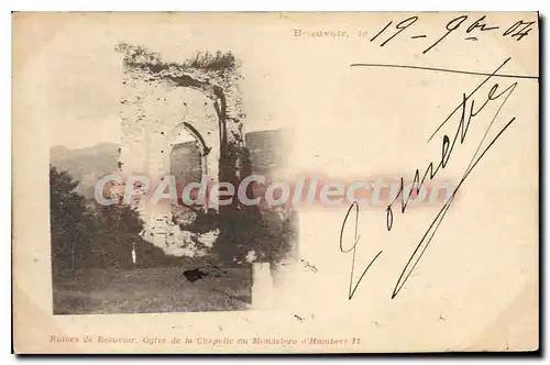 Cartes postales Ruines De Beauvoir Ogive De La Chapelle Du Monastere