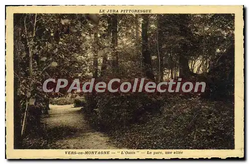 Cartes postales Vers-En-Montagne L'Oasis Le Parc Une Allee
