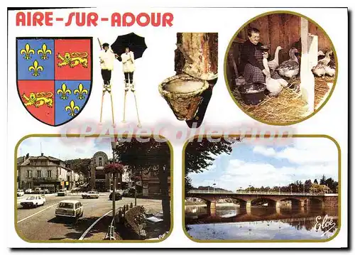 Cartes postales moderne Aire Sur Adour Capitale Du Foie Gras