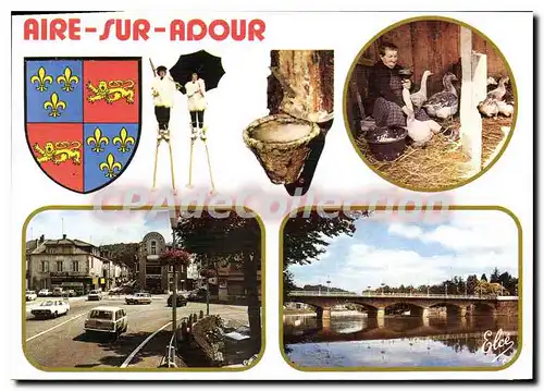 Cartes postales moderne Aire Sur Adour Capitale Du Foie Gras