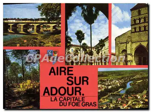Cartes postales moderne Aire Sur Adour Le Pont �glise