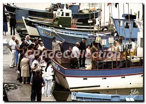 Cartes postales moderne CAPBRETON La Cri�e Au Port De Peche