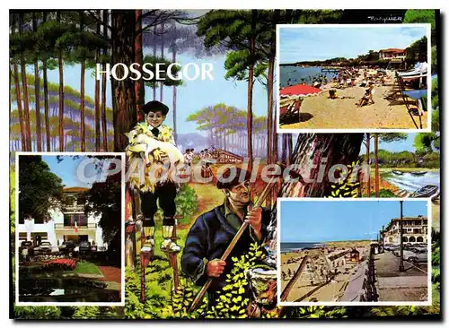 Cartes postales moderne Hossegor La Plage Du Parc