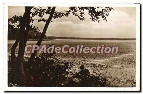 Cartes postales Mimizan Plage L'Etang D'Aureilhan