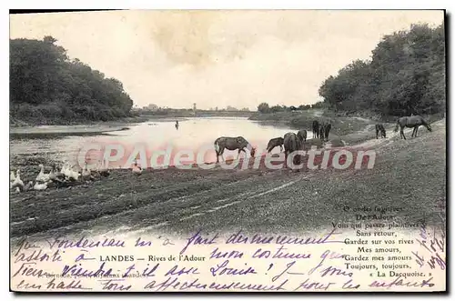 Ansichtskarte AK Landes Rives De I'Adour