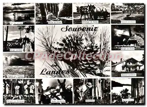 Cartes postales moderne Visage Des Landes