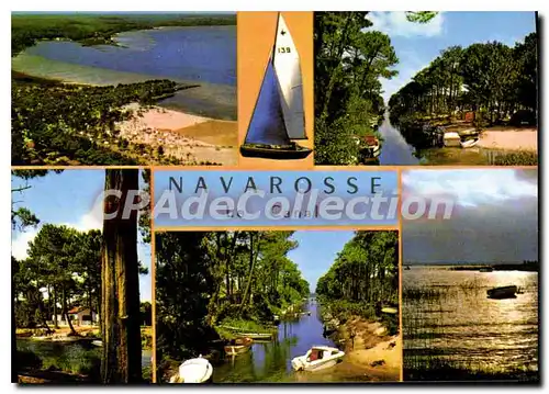 Cartes postales moderne Biscarrosse Navarosse Les Plages Et Le Canal