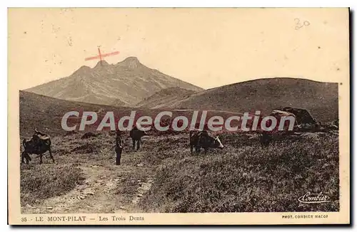 Ansichtskarte AK Le Mont Pilat Les trois dents