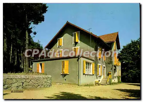 Cartes postales moderne Le Chambon sur Lignon Maison de Repos Les Genets