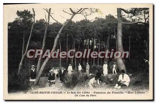 Ansichtskarte AK Saint Brevin I'Ocean Le Bois Des Lutins