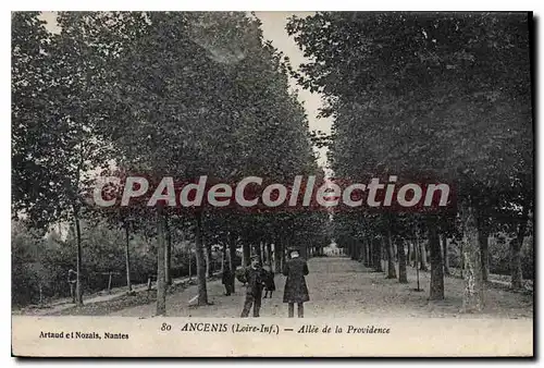 Cartes postales Ancenis Allee De La Providence