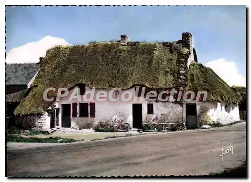 Cartes postales moderne Guerande La Briere Type De Maison A Toit De Chaume