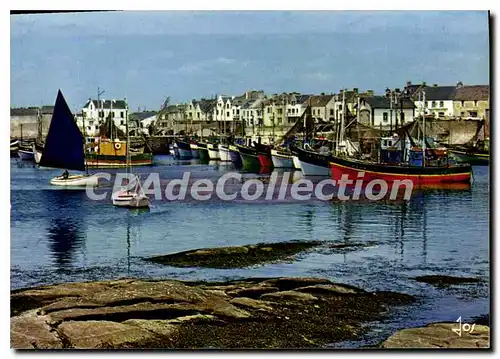 Cartes postales moderne La Turballe Le Port De Peche et Les Bateaux