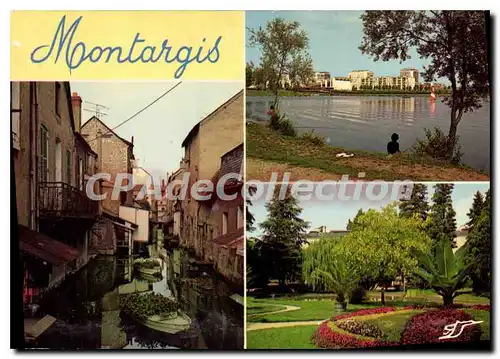 Cartes postales moderne Montargis