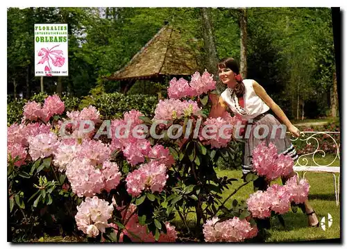 Cartes postales moderne Orleans La Source parc floral