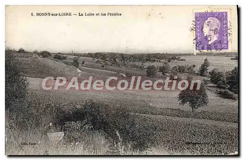 Cartes postales Bonny Sur Loire La Loire Et Les Prairies