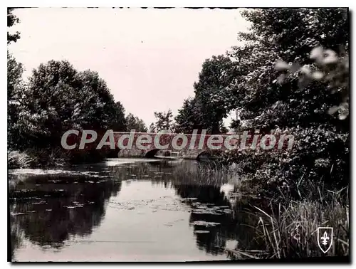 Cartes postales La Ferte Saint Aubin Pont Du Cosson