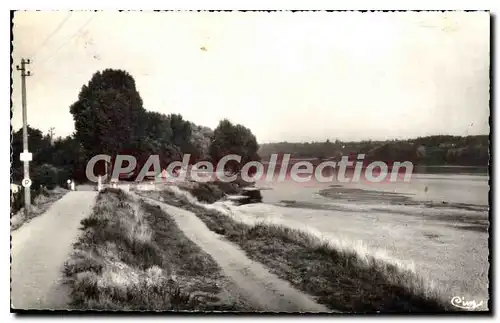 Cartes postales Jargeau Les Bords De Loire Et Le Camping