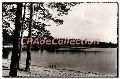 Cartes postales L'Etang Des Bois Pres Lorris