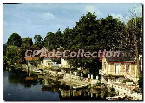 Cartes postales moderne Olivet Les Bords Du Loiret