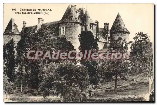 Cartes postales Saint Cere Chateau De Montal