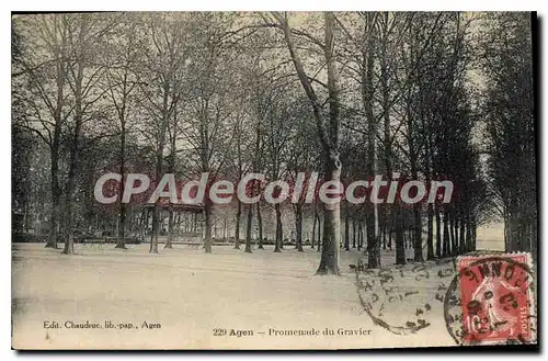Cartes postales Agen Promenade Du Gravier
