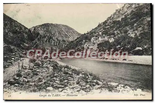 Cartes postales Gorges Du Tarn Hauterive