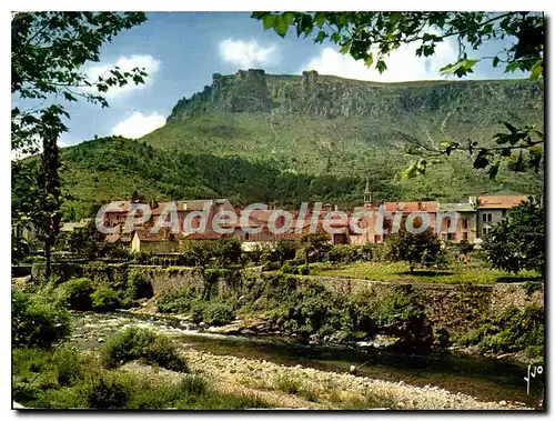 Cartes postales moderne Florac Les Bords Du Tarnon