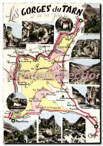 Cartes postales moderne Les Gorges Du Tarn Et De La Jonte